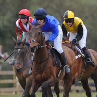 Mollington Races (@mollingtonraces) 's Twitter Profile