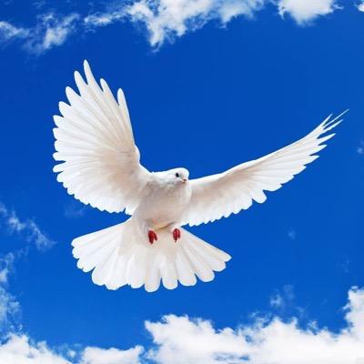 STRamalingam's profile picture. 