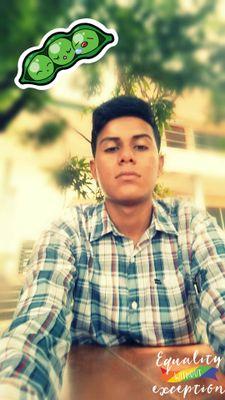 smoke weed every day