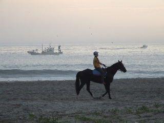 旧型商用車と本、温泉、馬が好き。気ままに、くだらないことぼやいています。