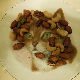 MrAyo16's profile picture. 