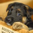 Heather bernier - @hb1017 - Twitter