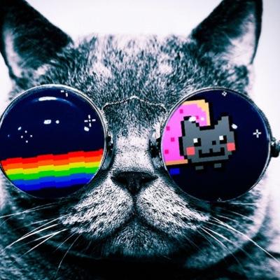 Maxcyclonez's profile picture. TWEETZ