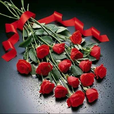 khalilmashtoub's profile picture. 