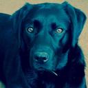 Ted Rowan - @rowan_ted - Twitter