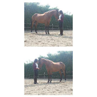 a horse can break all your bones but never your heart.
- lara 13y/o
- sinalco 22y/o
 {17.01.2015}