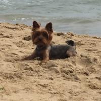 Constantin-Cosmo (@cosmobar03) 's Twitter Profile