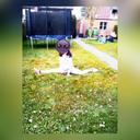 Michelle Plum - @e7290191b484411 - Twitter