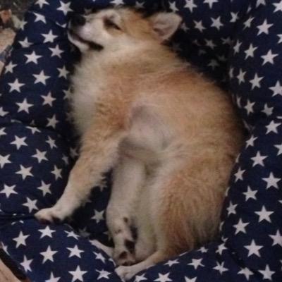 DimBocat's profile picture. Έχεις τα πινέλα, έχεις τα χρώματα, ζωγράφισε τον παράδεισο και μπες μέσα......