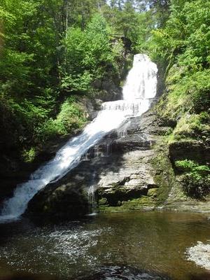 mssweettruth's profile picture. Islam is the truth.