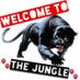 The Jungle (@svpantherpride) Twitter profile photo The Jungle (@svpantherpride) Twitter profile photo