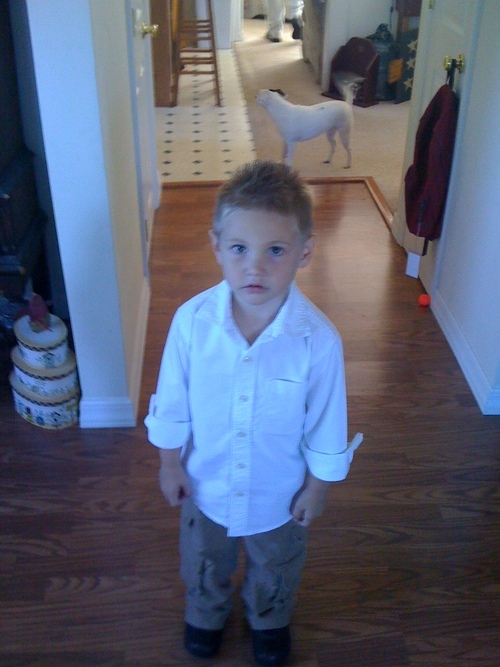 psycho86's profile picture. i honestly have no idea how to describe myself, thanks to events in my life over the past week....