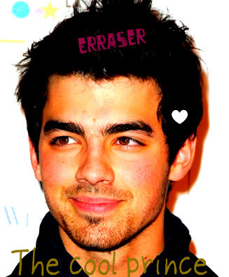 Loving the Jonas Brothers (LLL
