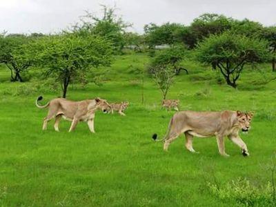 Taqdeer ne chaha Taqdeeer ne batayaMuqadar ne tumhe aur hame milayaKhus naseeb the hum ya wo palJaab aap jaisa Anmol sa dost Zindegi meAaya