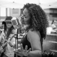 DariJ of P2P (@pebbletopearl) 's Twitter Profile