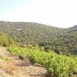 Plapo34's profile picture. 