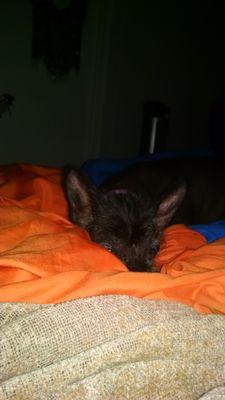 Katheva's profile picture. 