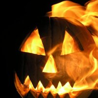 SFed (@sfed) 's Twitter Profile