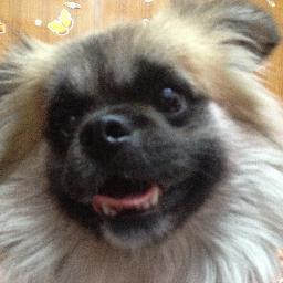 NyiNyi_KST's profile picture. 