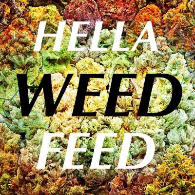 18+ ONLY - Keeping your feed lit with only the dopest of dope weed pics! *I DO NOT OWN ALL CONTENT* Send in your dope HD weed pics for shoutout!