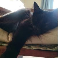 Rebecca Ellis (@rebeccacellis) 's Twitter Profile Photo Rebecca Ellis (@rebeccacellis) 's Twitter Profile Photo