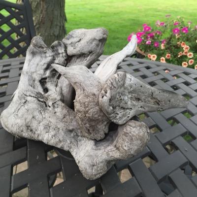 Winefan's profile picture. 