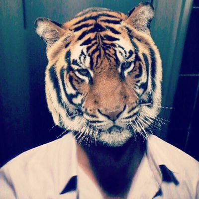 kabadaaja's profile picture. 