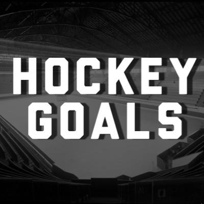 Goals every hockey fan should want to accomplish before they die