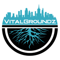 Vital Groundz (@vitalgroundz) Twitter profile photo