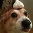 Samuel Vinson  - @VinsonSamuel - Twitter