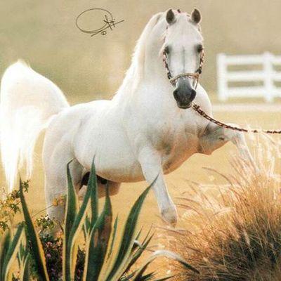 2013Bounty's profile picture. 