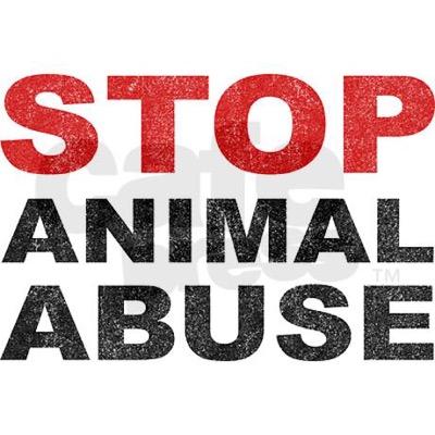 stop animal abuse (@bree_lee22) / Twitter