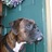marcscheffel's profile image