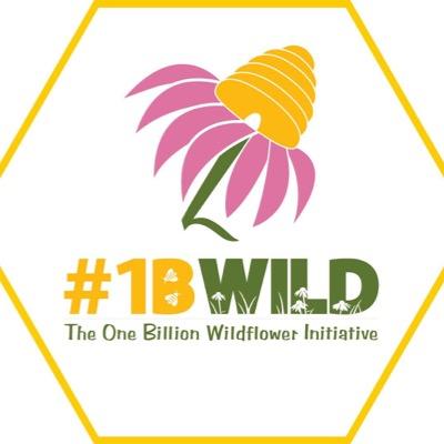 Take action to save our pollinators and our food system by planting wildflowers. From one flower to one billion, working together we can make a difference!