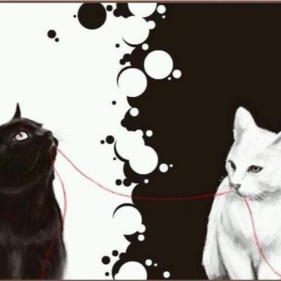 飼い主を失った猫は野良猫になるのです お話用アカウント→@Nrnknhy お友達募集中/不定期更新