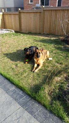 YChristodoulou's profile picture. 