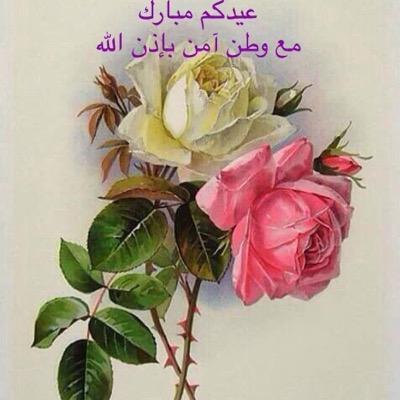 skymoh4's profile picture. 