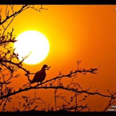 aboooody_16's profile picture. 