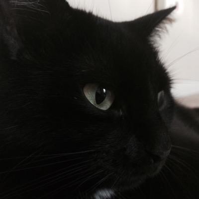 loves playing Minecraft. official Minecraft name DTodd1 can be found on youtube at https://t.co/SWQJKntRSt CAT EYES