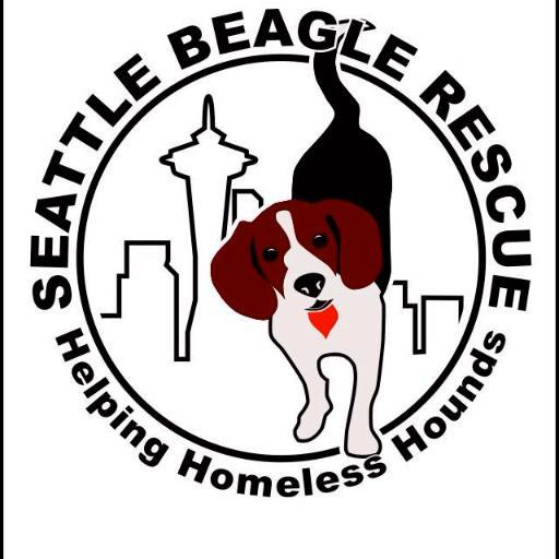 seabeagrescue's profile picture. Helping Homeless Hounds