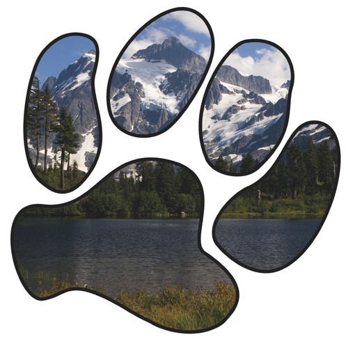 denverdogworks's profile picture. We have the best and train the rest! Offering canine training in Colorado and nationwide