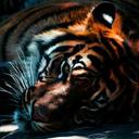 Yash J (@0575877865304d0) Twitter