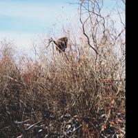 Old Neighbours (@oldneighbours) 's Twitter Profile