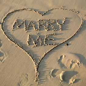 Proposal2015's profile picture. 