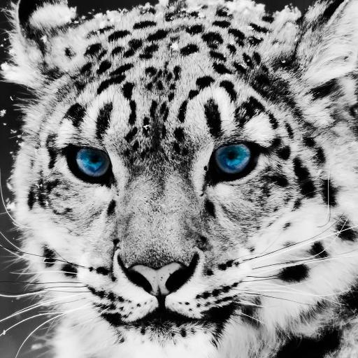 ✴ I follow back ✴