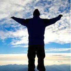 widfree's profile picture. 