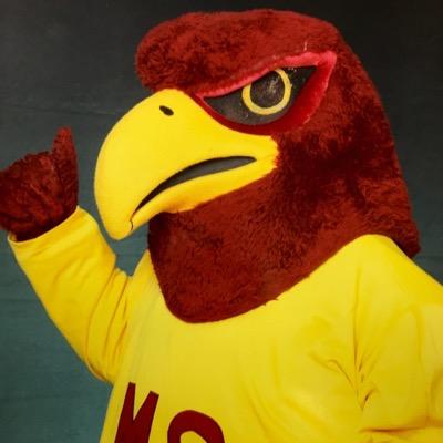 Welcome to the Hawk's Hub! The center for all information about activities, events, and everything MSSH! |insta: thehawkshub|