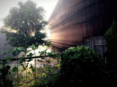 boomrxp's profile picture. 