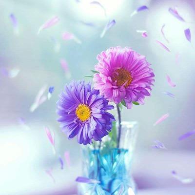 alasal851's profile picture. تبدو مُخيفة سرعة الأيام ، تجري بنا دُون أن نشعر ف يارب أعطنا خير هذا الزمان ، و أكفنا كُل شر ( الخاص مهمل)