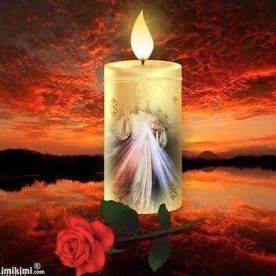 osvarucar's profile picture. 